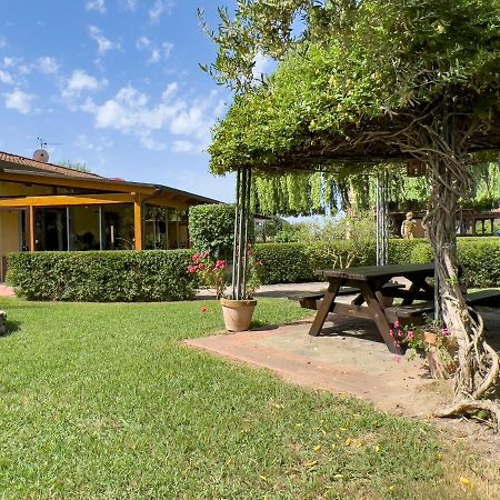Agriturismo Terra Di Elea Azienda Agricola Di Raimondo Michela Ascea Zewnętrze zdjęcie