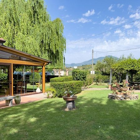 Agriturismo Terra Di Elea Azienda Agricola Di Raimondo Michela Ascea Zewnętrze zdjęcie