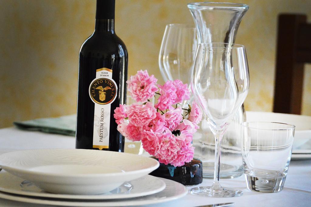 Agriturismo Terra Di Elea Azienda Agricola Di Raimondo Michela Ascea Zewnętrze zdjęcie