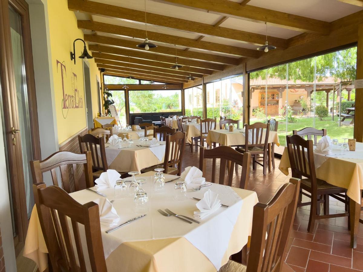 Agriturismo Terra Di Elea Azienda Agricola Di Raimondo Michela Ascea Zewnętrze zdjęcie