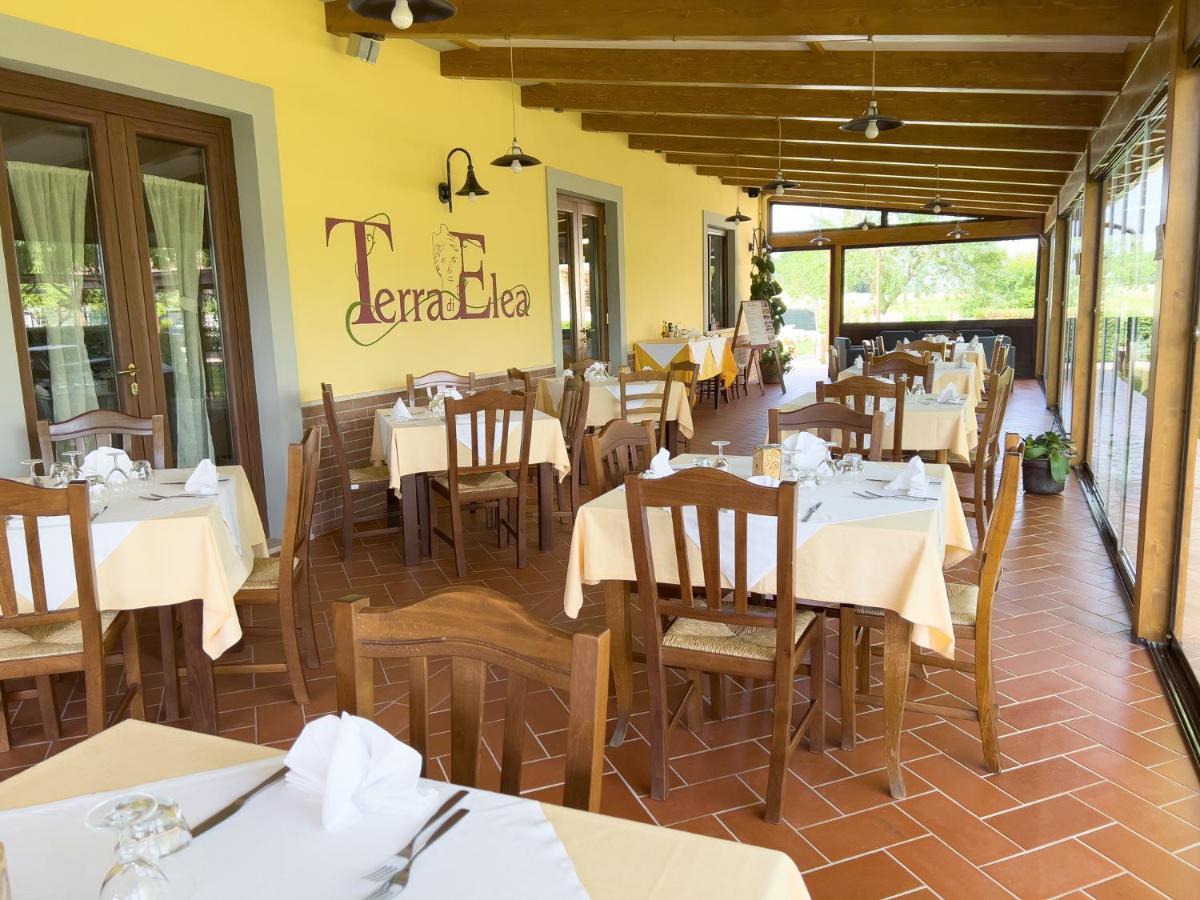 Agriturismo Terra Di Elea Azienda Agricola Di Raimondo Michela Ascea Zewnętrze zdjęcie