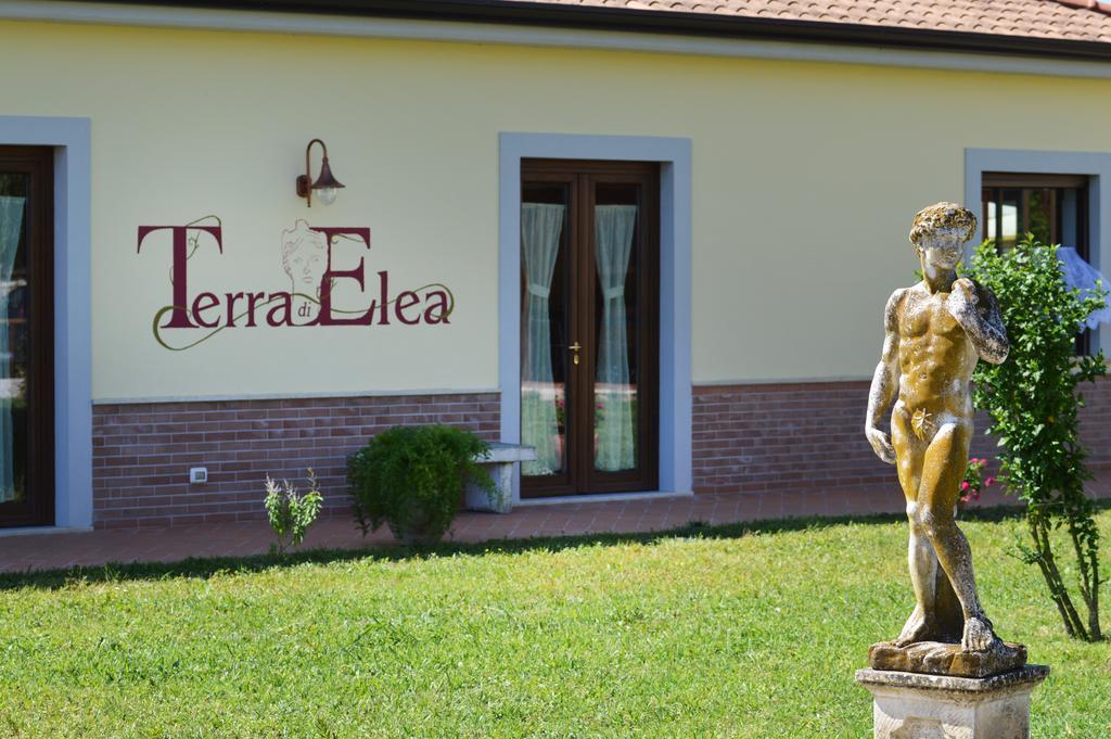 Agriturismo Terra Di Elea Azienda Agricola Di Raimondo Michela Ascea Zewnętrze zdjęcie