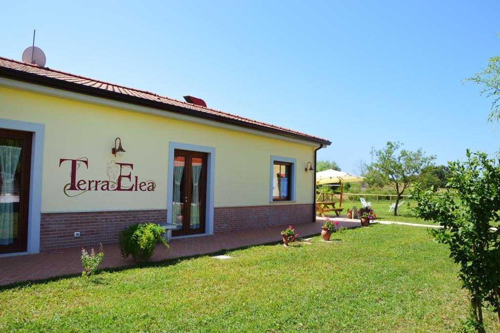 Agriturismo Terra Di Elea Azienda Agricola Di Raimondo Michela Ascea Zewnętrze zdjęcie