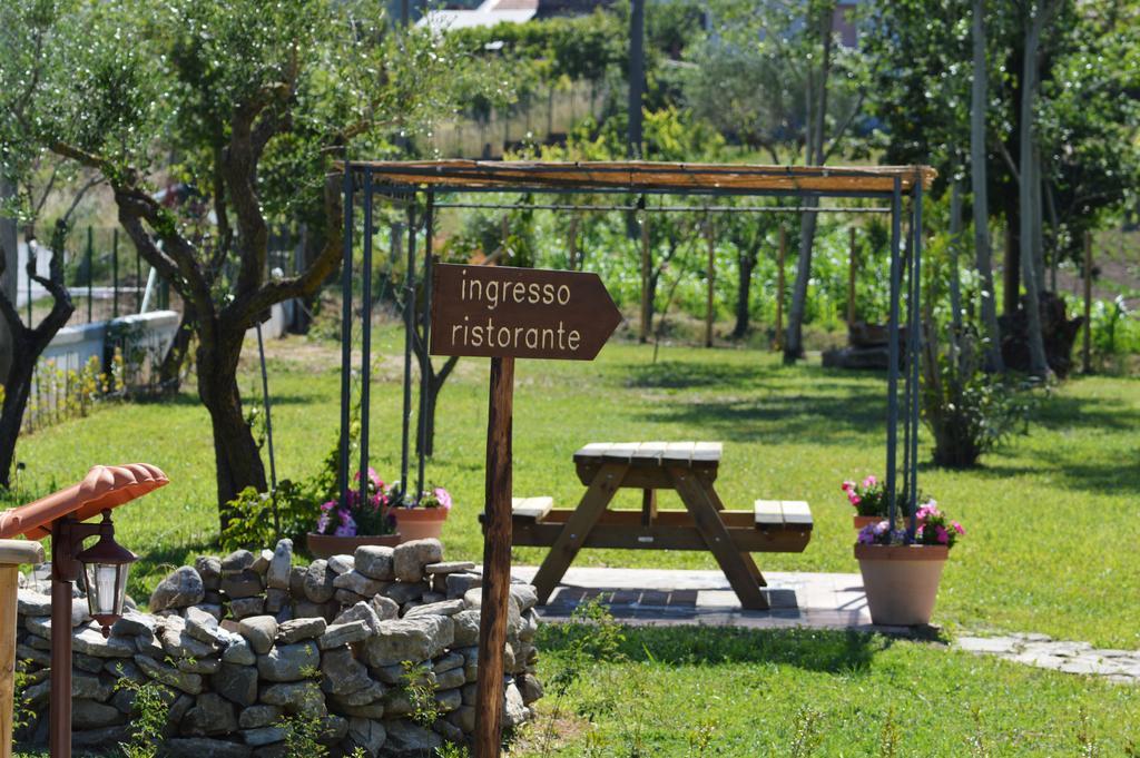 Agriturismo Terra Di Elea Azienda Agricola Di Raimondo Michela Ascea Zewnętrze zdjęcie