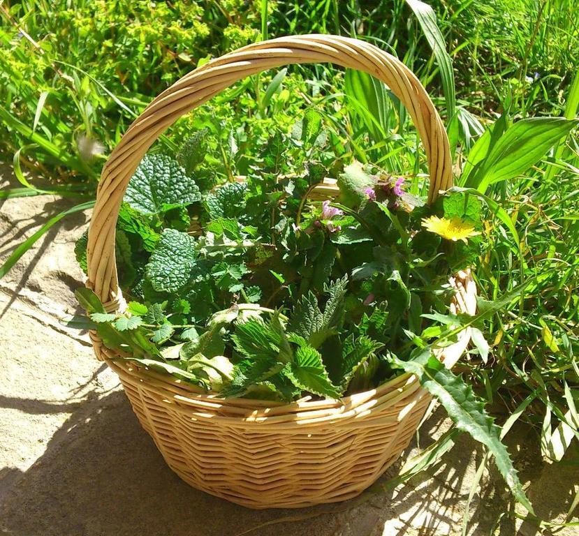 Agriturismo Terra Di Elea Azienda Agricola Di Raimondo Michela Ascea Zewnętrze zdjęcie