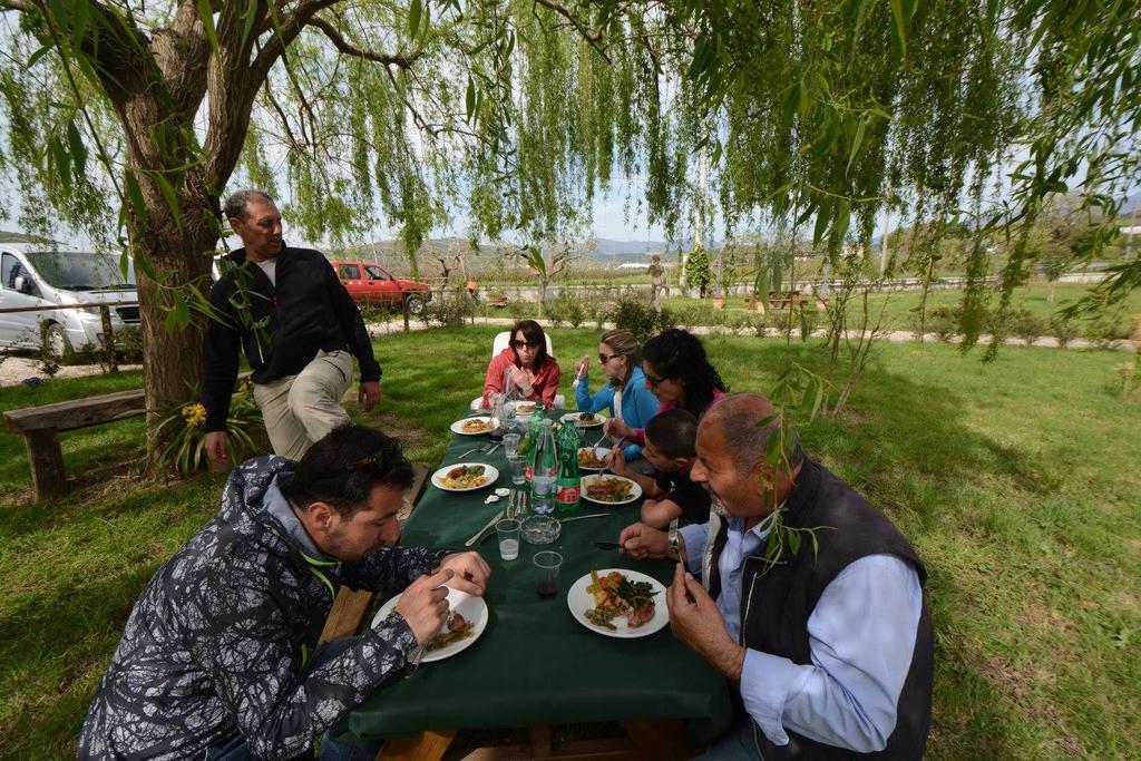 Agriturismo Terra Di Elea Azienda Agricola Di Raimondo Michela Ascea Zewnętrze zdjęcie