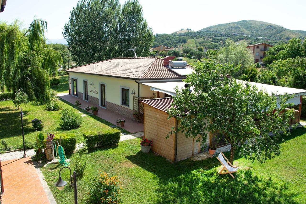 Agriturismo Terra Di Elea Azienda Agricola Di Raimondo Michela Ascea Zewnętrze zdjęcie